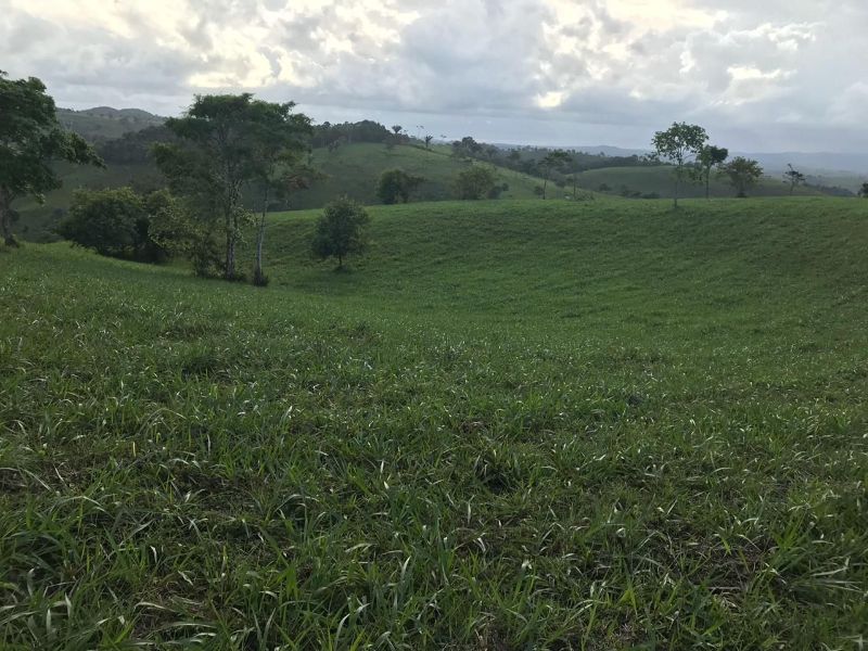 Avenida Alcides Cordeiro