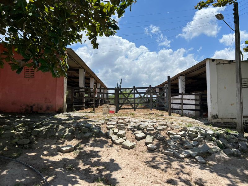 Rua Severino Rodrigues Alves