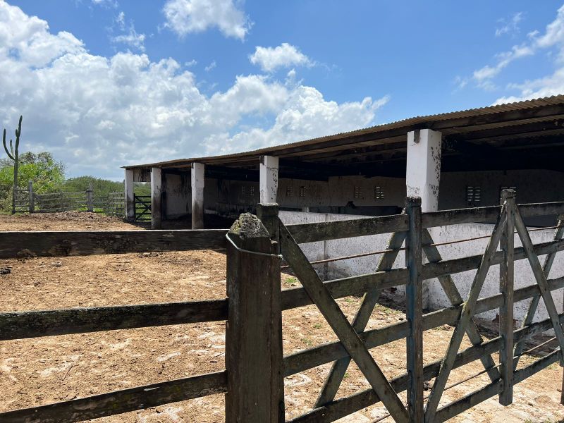 Rua Severino Rodrigues Alves - Gravatá/