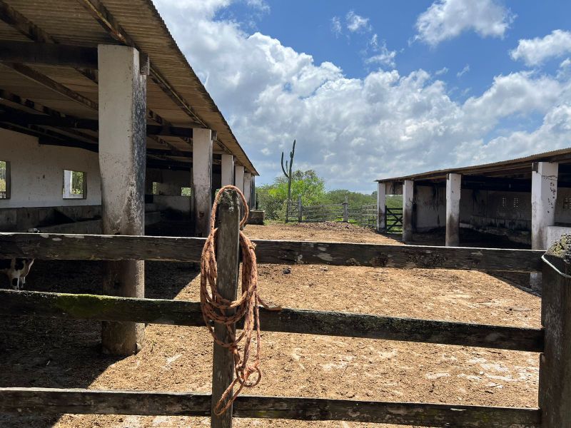 Rua Severino Rodrigues Alves - Gravatá/