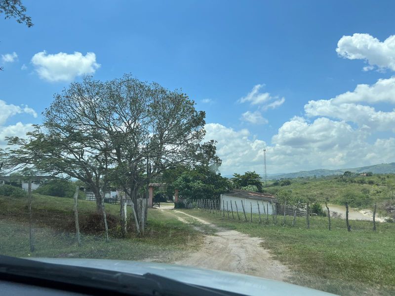 Rua Severino Rodrigues Alves - Gravatá/