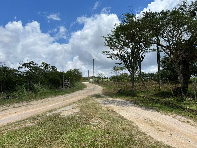 Rua Severino Rodrigues Alves - Gravatá/