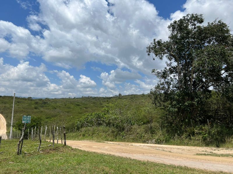 Rua Severino Rodrigues Alves - Gravatá/