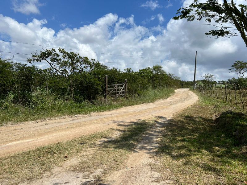 Rua Severino Rodrigues Alves - Gravatá/