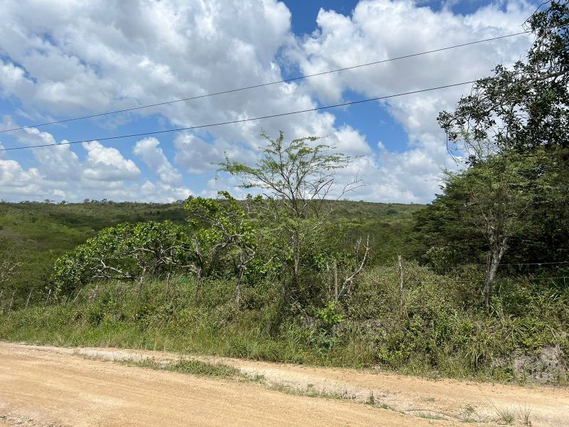 Rua Severino Rodrigues Alves - Gravatá/