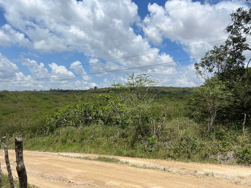 Rua Severino Rodrigues Alves - Gravatá/