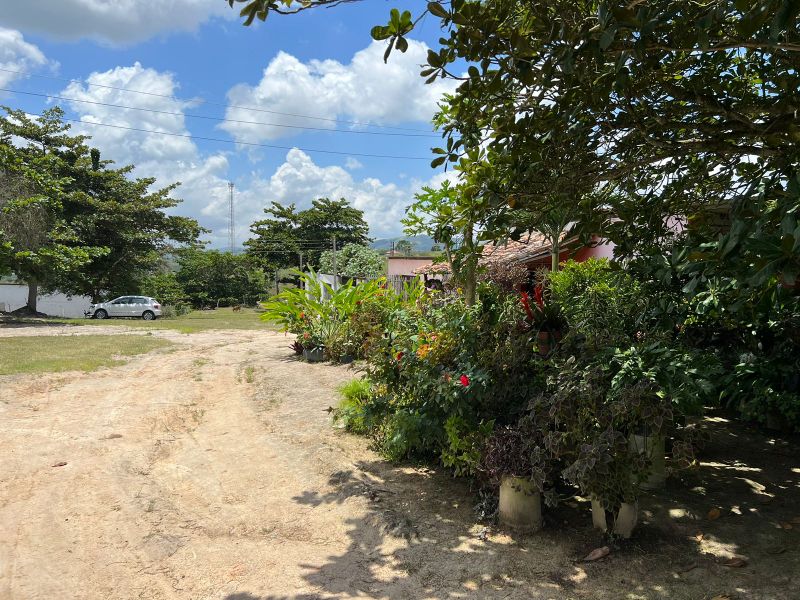 Rua Severino Rodrigues Alves - Gravatá/