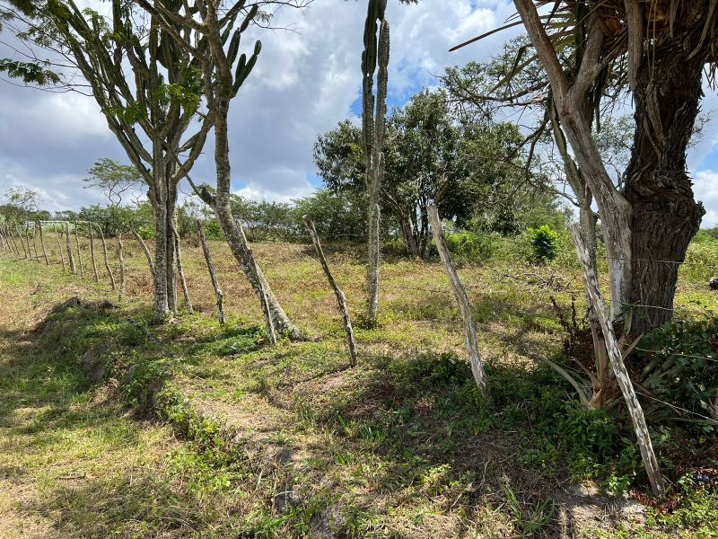 Rua Severino Rodrigues Alves - Gravatá/