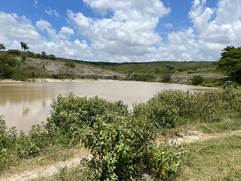 Rua Severino Rodrigues Alves - Gravatá/