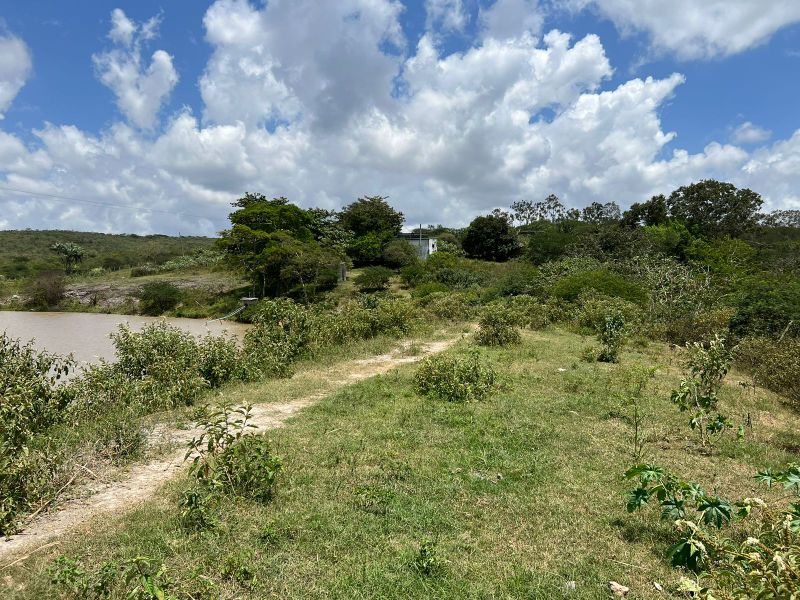 Rua Severino Rodrigues Alves - Gravatá/