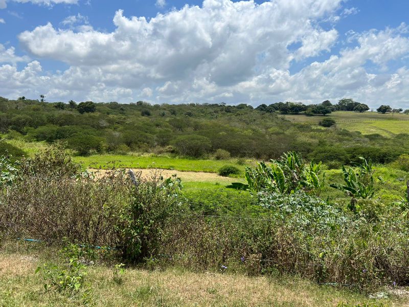 Rua Severino Rodrigues Alves - Gravatá/