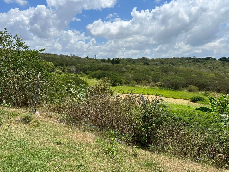 Rua Severino Rodrigues Alves - Gravatá/