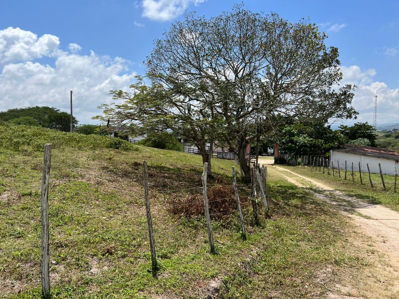 Rua Severino Rodrigues Alves - Gravatá/